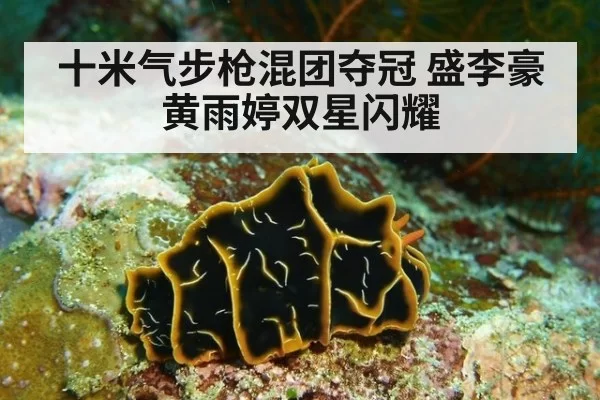 十米气步枪混团夺冠 盛李豪黄雨婷双星闪耀